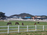 남원시 제27회 지리산 운봉바래봉 철쭉제및 허브벨리 일원 축제시작