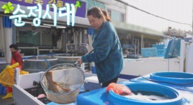 순정시대 인천 석모도 횟집 운영 박봉녀씨 사연은?