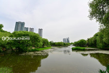 [국제포토] 서울숲 자연과 조망