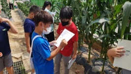 익산시, 스쿨팜(학교 텃밭)을 통해 초등학생들에게 농업체험기회제공