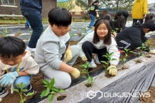 영동 양산초등학교, 초록학교 행사 운영