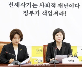 이정미 