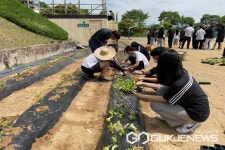 청산고등학교, 탄소중립 실천 학교숲 텃밭 가꾸기 실시