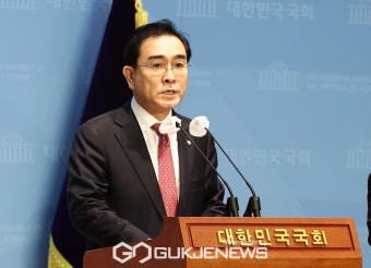태영호, 최고위원직 사퇴...'모든 논란, 전적으로 제 책임'
