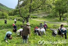 충주시, 치매환자 가족 더 가까이 다가가는 프로그램 운영