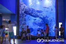 단양다누리아쿠아리움 개관 11주년 다채로운 이벤트 마련