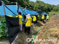 음성 원남면 주민자치회, 일손이음 봉사활동 나서