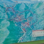 [포토] 숲힐링, 잣향기 푸른숲