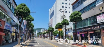 이천시 수형조절 및 맞춤 식재로 명품 가로수길 조성