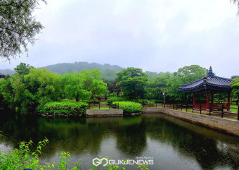 [날씨] 대구ㆍ경북, 당분간 대기 불안정→시간당 30mm 이상 폭우
