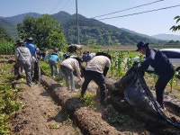 남원시 산동면·건설과 직원, 농촌일손돕기 구슬땀... 수확감자 경로당 전달