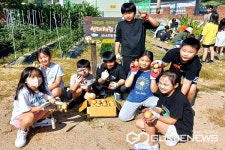 영동 양산초등학교, 감자캐기 환경교육 실시