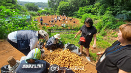 비영리 인천도시농업공동체, 사랑의 감자 나눔 봉사로 훈훈한 감동 전해