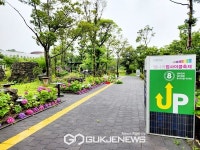 제주 탐나라공화국에 펼쳐진 수국의 향연