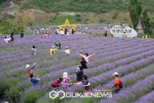 강원 동해시 핫플레이스 무릉별유천지