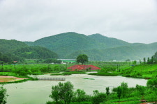 영월 동서강정원 청령포원 느티나무 이름 공모