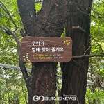 동작구, 힘들 때 주위를 둘러보세요!