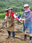 [포토] 국민의힘 충북도당, 괴산 불정면 인삼밭서 수해복구 봉사