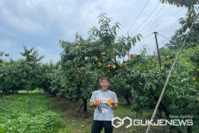 옥천군, 11대 복숭아왕에 고현기씨·30대 포도왕에 곽은호씨 선정