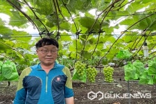 옥천군, 11대 복숭아왕에 고현기씨·30대 포도왕에 곽은호씨 선정