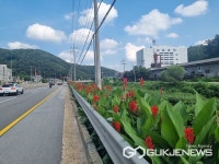 [포토] 국도 23번도 광주시 곤지암읍 가로변 여름꽃 만발 눈길