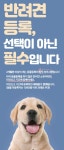 10월부터 반려동물 미등록시 과태료... 9월까지 자진신고 기간
