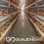 봉화군, 동절기 대비 가금농장 2차 방역점검 실시