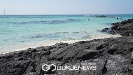 제주 스노쿨링 명소 코난해변