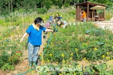 양천구, 올해의 최고 도시농부 뽑는다