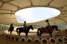 장수군 한우랑 사과랑 축제에서 말타기 즐겨요 행사