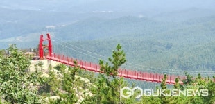 태안 백화산, 전국 등산객들로부터 인기...가재산도 벚꽃 명소 자리매김! 