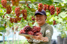 홍성 홍주씨들리스 백화점 출하! 전국 소비자 입맛 사로잡는다!