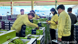 영천포도, 품질관리…市가 직접 나선다