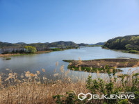 경남도, 철새도래지 12곳 축산차량 출입통제…창녕 우포늪, 목포늪 포함