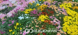 가을 향기 그윽한 형형색색의 국화꽃에 반하다!