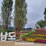 가평군, 자라섬 반려동물 문화축제