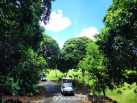 [국제포토] 열대 화산섬 하이난에서 골프를