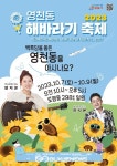 서귀포 영천동 사랑·희망 담은 황금빛 해바라기 물결 넘실