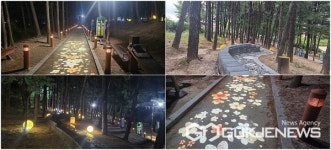 제천시 남천공원내 별빛정원 건강지압길 조성