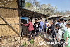 영동 용화초등학교, 마을교육과정 운영