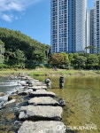 성남 탄천 수질 1급수 측정 ... 곳곳서 버들치 발견