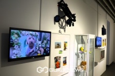 돈의문박물관마을-국립아시아문화전당재단 공동 협력전시 개최