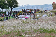 [국제포토] 하늘공원, 조형물과 자연이 어우러진 가을 풍광