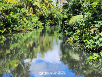 [국제포토] 괌에서 정글탐험을