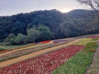 꿀잼도시 청주…특별한 축제·행사 가득