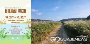 충주시, 은빛 물억새 전하는 가을 정취...앙성 비내섬 축제 개최