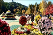 2023 청남대 가을축제 오는 21일부터 11월 5일까지 열려