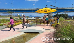 창녕군, 남지 낙동강 유채단지 내...강나루 사계 공원 조성