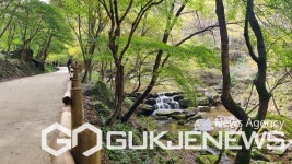 순창군 소재 강천산 가을 단풍 채비로 손님맞이 분주