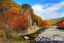 단양군, 제1회 사인암 우탁 문화제 개최